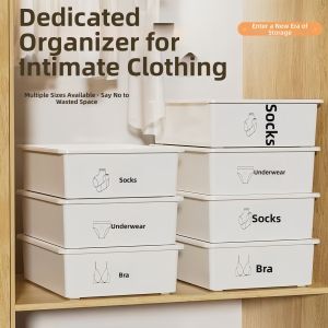 NAIFUNA | 3-in-1 Underwear Storage Organizer