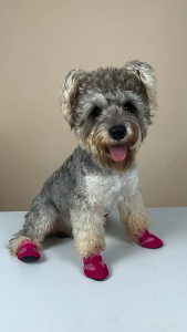 BENGPEN 4pcs/set Breathable Pet Rain Boots Comfortable Anti-slip Dog Short Boots Durable Easy To Clean Pet Dog Shoes for Home