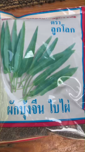 เมล็ดผักบุ้งจีนใบไผ่ ใบเรียวยาว ความงอกสูง ไม่แตกแขนง ซอง 1 กิโลกรัม สิ้นอายุทำพันธุ์ 01 / 70