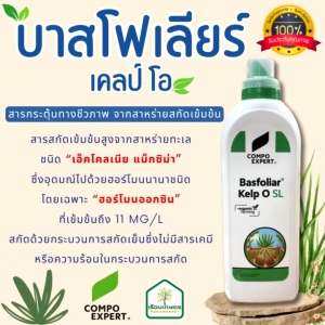 บาสโฟเลียร์เคลป์โอ สารสกัดเข้มข้นสูงจากสาหร่ายทะเล ช่วยเพิ่มการติดดอกลดการหลุดร่วงของดอก ขนาด 1 ลิตร