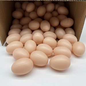 CoralCove ไข่ปลอม พลาสติก ไข่ปลอมไก่ หลอกไก่วางไข่ ไก่ออกไข่ ไข่ไก่ปลอม ไข่ไก่ ไข่ไก่ปลอม ขนาดเท่าของจริง ไก่ ฟาร์มไก่ อุปกรณ์เลี้ยงไก่