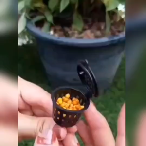 ตะกร้าใส่ปุ๋ย ถ้วยใส่ปุ๋ย ตะกร้าปุ๋ย ถ้วยปุ๋ย ใส่เพื่อให้ปุ๋ยละลายช้า ตะกร้าใส่ปุ๋ยแคคตัส