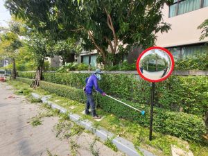 เครื่องตัดแต่งไทรเกาหลีไม้ดัดไม้พุ่ม (รุ่นมอเตอร์จัมโบ้)สีฟ้า(ไม่รวมแบต)ใช้กับแบตเตอรี่12v