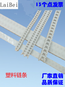 Double Row POM Nylon Chain 60P Pitch 19.05 Small Link Plate 40P Plastic 12.7 for Conveyor Belt Accessories Transmission Parts