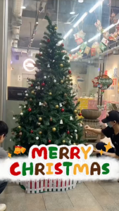 🎄DIYต้นคริสต์มาส ขนาด ใหญ่ 120/150/180/270cm ฐานที่มั่นคงมาก บ้าน ตกแต่งร้าน Christmas tree