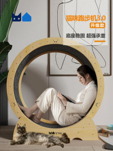 ลู่วิ่งแมวและสัตว์เลี้ยงแผ่นใยไม้อัดสูงลูกกลิ้งเสียงเงียบสำหรับออกกำลังกายล้อวิ่งไม้แท้ที่นิยมใน TikTok ของเล่นสำหรับแมวปีนเขา