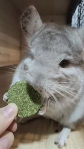 ขนมหญ้ากระต่าย คุกกี้หญ้าทิมโมธี คุกกี้กระต่าย คุกกี้อัลฟาฟ่า ขนมกระต่าย หนูแฮมสเตอร์ แกสบี้ ชินชิลล่า ขนมลับฟันแฮมสเตอร์ สำหรับสัตว์ฟันแทะ