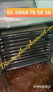 Máy sấy viên hoàn mềm Tủ sấy lông mi thực phẩm hoa quả 10 khay vuông - INOX CAO CẤP