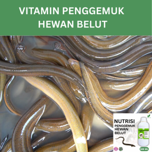 Vitamin Penggemuk Belut Alami 500ml Nafsu Makan Naik Bobot Cepat Bertambah Maksimalkan Penggemukan