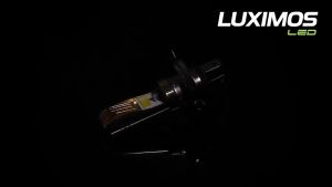 LUXIMOS Lampu Utama Motor Bebek Matic H4 Gloss Scoopy Vixion AC DC White LG2 GOLD