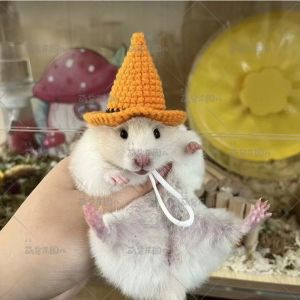 Hamster Hat Pulling Rope Sugar Glider Golden Retriever Guinea Pig Flower Rat Pig Dragon Cat Universal Pet Accessories