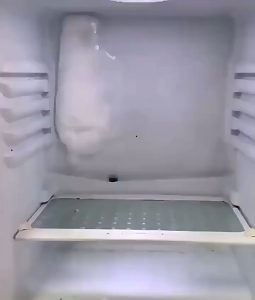 Ready Stock - Refrigerator Drain Cleaning Kit - Flexible Nylon Brush Wire Easy to Use Universal Fit