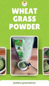 Greendahan Organic Wheatgrass Juice Powder 500g | 1kg - Unsweetened Premium Quality NON GMO