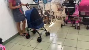 Pets Strollers Travel foldable lightweight stroller for Cat and Dog