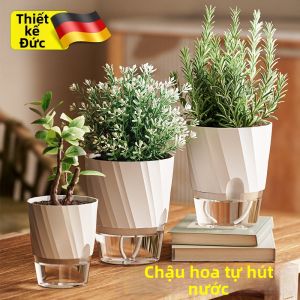 NAIFUNA | Self-watering Planter for Devils Ivy Plastic