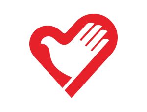 Height Increasing Fast Growth Massage Oil Organic Essential Oil For Getting Taller Height Boosting Essences For Shorter People