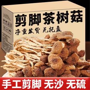 Grade A Trimmed Unopened Tea Tree Mushroom Soup Ingredient 500g