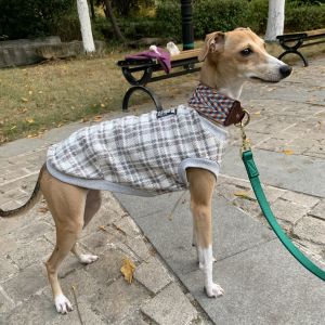 Pet Clothing Pattern Drafting for Beilin Tong Dog Greyhound Biplane Pet Clothes Sample Template Winter Spring Autumn Season
