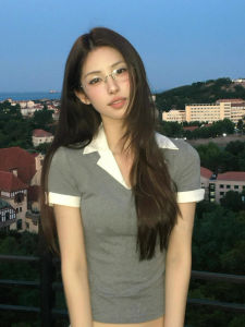 Áo Thun Cổ Polo Tay Ngắn Màu Xám Ôm Vừa Vặn Mùa Hè Cho Nữ Áo Sơ Mi Cơ Bản Đa Năng Thiết Kế Cổ Điển Mỹ Áo Thun Thường Ngày