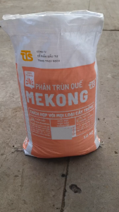 Phân Trùn Quế Mekong Bón Lót Cây Trồng