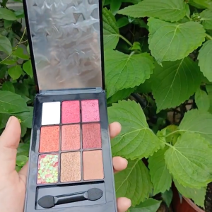 Bảng Phấn Mắt 9 Ô Có Nhũ Kèm Cọ Gương Lấp Lánh Siêu Xinh Singer Bird