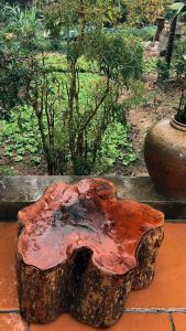 Bộ Dao nhà bếp được làm bằng thép trắng không gỉ cán được làm bằng gỗ mun chốt đinh cực kỳ sắc bén chắc chắn và bền đẹp.