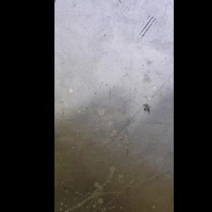 Ceramic Tile Trimming M14 Polishing Disc Dry Polishing Marble Quartz Stone Hexagonal Handle Chamfering Grinding Edge 80/100mm