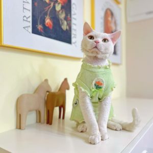Y·H Summer Lightweight Sleeveless Breathable Mesh Cat Clothes for Hairless Cats Such as Sphynx Deventer Pet Supplies