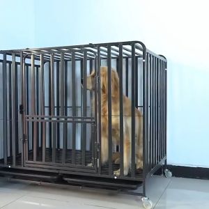 Thickening Large Dog Cage Square Tube Dog Cage Stainless Portable Mobile Dog Cage With 4 Wheels
