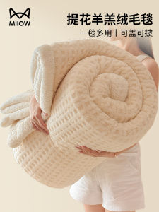 Thickened Lamb Velvet Blanket Cat Person Coral Fleece Winter Office Nap Small Size Bed Sofa Cover Blanket Modern Simple Style