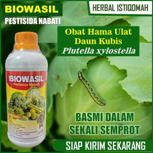 Pupuk Organik Semprot Pembasmi Hama Ulat Daun Kubis Plutella xylostella (KOL) Paling Manjur - Obat Pengendali Hama Kobis / KOL Paling Bagus Melebatkan dan Mampu Membuat Sayuran berdaun Lebar BIOWASIL 500 ML Tahan Musim Panas& Hujan