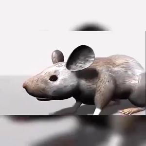 💥 2025 model is better than 99% of the products on the market💥 big rat killer poison pellet Rat killer poison Rat lure that mice like to eat Pellet ​50g rat poison killer powder Plant extracts Harmless to people and pets rat trap catcher lason sa daga