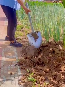 All Steel Shovel Heavy Duty Round Point And Square With D-Handle For Gardening And Digging Pala