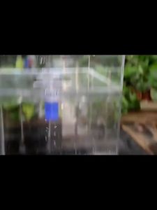 Karet Tutup Lubang Pipa Got Silikon Floor Drain Sink Wastafel Anti Bau