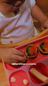 COCONI StarNibble Plate with Suction | Piring Makan Anak Bayi Silikon Sekat dan Perekat BPA FREE FOOD GRADE