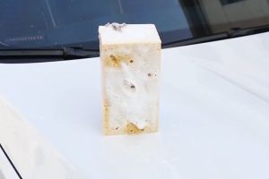 ส่งจากไทย ฟองน้ำล้างรถรถยนต์ ล้างรถใยบวบอย่างดี สำหรับล้างรถมอเตอร์ไซค์