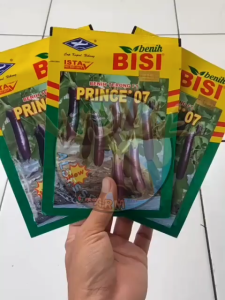 Benih Terong Ungu Prince 07 Kemasan 10 Gram Cap Kapal Terbang