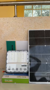 Đèn năng lượng mặt trời mắt ngọc 600w