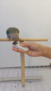 กล่อง นก/สัตว์เลี้ยง น้ำใส่อาหาร พกพาง่าย ฝาเปิด/ปิดให้นกกินสะดวก มากและเลือก พร้อม ฮวยมัวเกรด