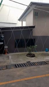 ตาข่ายค้างผัก ตาข่ายค้างแตง ค้างถั่วฝักยาว ตาข่ายไม้เลื้อย ตะข่ายค้างแตง อวนค้างแตง ตาข่ายปลูกผัก