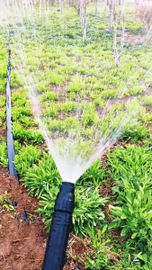 High Pressure Water Jet Water Spray Gun Portable Spray Nozzle Car Wash Machine Watering Hose TOLUS