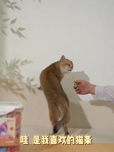 HELLOLEIBOO | Fish Oil Weight Gain Cat Treats 110 Pieces