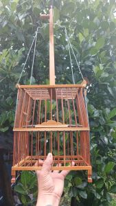 เพนียดต่อนก ใช้ง่ายใช้ดี ทนทาน ต่อนกได้หลากหลายชนิด