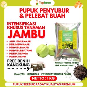 Pupuk Jambu Kristal / Pupuk Jambu Cepat Berbuah / Pupuk Jambu Kristal Anti Rontok / Pupuk Jambu Jamaika / Pupuk Pohon Jambu Biji / Pupuk Jambu