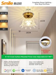 smeou | Modern Simple Hall Balcony Staircase Cloakroom Entryway Ceiling Light