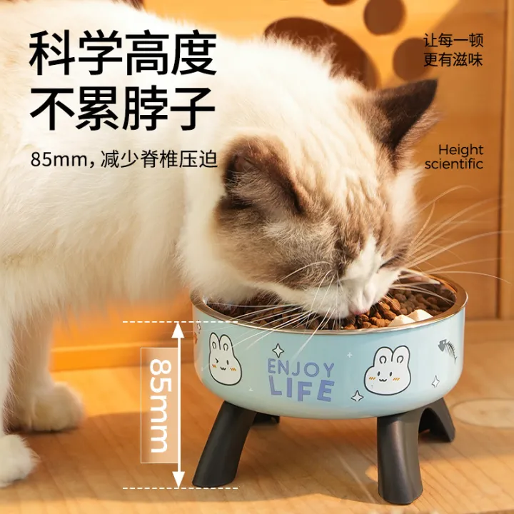 7 อันดับ ชามอาหารสัตว์เลี้ยงยอดนิยม 2025: เลือกให้ถูกใจน้องหมาน้องแมว! 🐶🐱