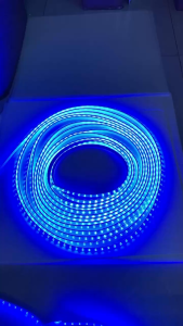 COMBO DÂY LED 220V- 5050-12MM-60D ĐỔI MÀU RGB - CAO CẤP SỬ DỤNG NGUỒN KẸP SỬ DỤNG NGOÀI TRỜI CHỐNG NƯỚC TRANG TRÍ SÂN VƯỜNG QUÁN CÀ PHÊ LỄ HỘI ....