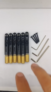 Bridge Gitar Guitar Elektrik Electric Headless 6 String W-001-6 BK Gold