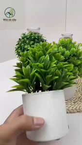 Cây giả kèm chậu để bàn Cây nhân tạo trang trí bàn làm việc Phụ kiện chụp ảnh Trang trí nhà cửa
