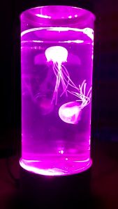 โคมไฟแมงกะพรุน โคมไฟแมงกระพรุน โคมไฟแมงกะพรุน led แมงกะพรุน โคมไฟ แมงกะพรุนเรืองแสง โคมไฟแมงกะพรุน แมงกระพรุนโคมไฟ Led Camper Lights ไฟ Led - Lazada